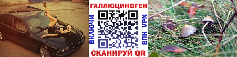 ссылка на мегу зеркало  Алупка  Псилоцибиновые грибы мицелий 